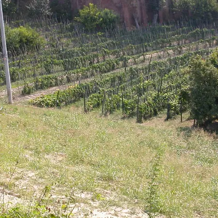 Il Castello Delle Fiabe Scandeluzza
